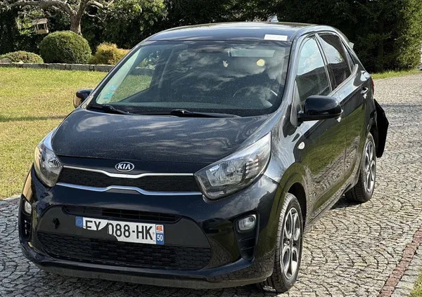 kia picanto gorlice Kia Picanto cena 19900 przebieg: 71000, rok produkcji 2018 z Gorlice